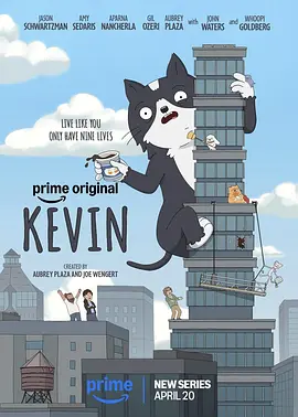 小猫凯文 Kevin