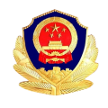 12123 车辆违章查询