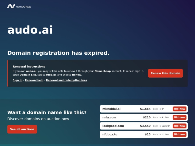 Audo AI